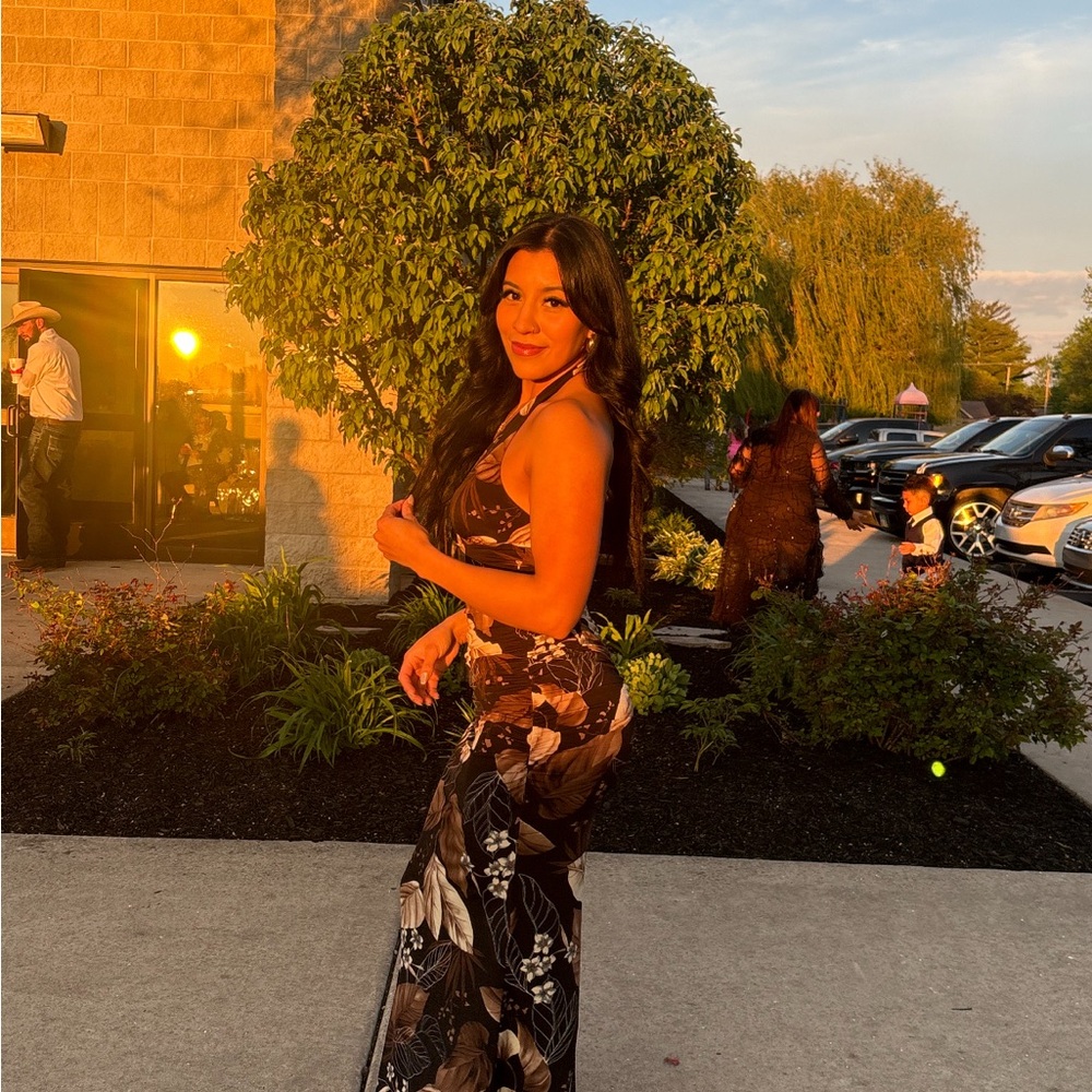 Windsor Black and Brown Backless Dress